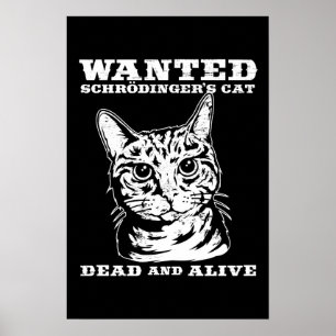 Affiches Le chat de Schrodinger voulait mort ou vivant