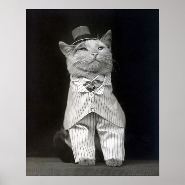 Affiches Le chat élégant, 1906. Photo vintage (Devant)