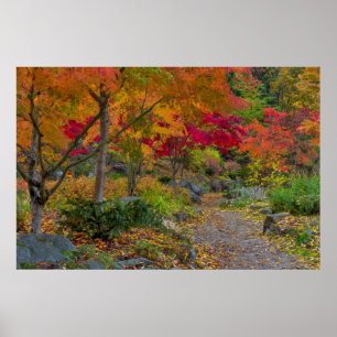 Affiches Le chemin mène à la banquette du parc