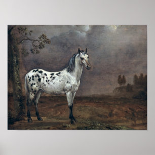 Affiches Le Cheval Piebald, 1653