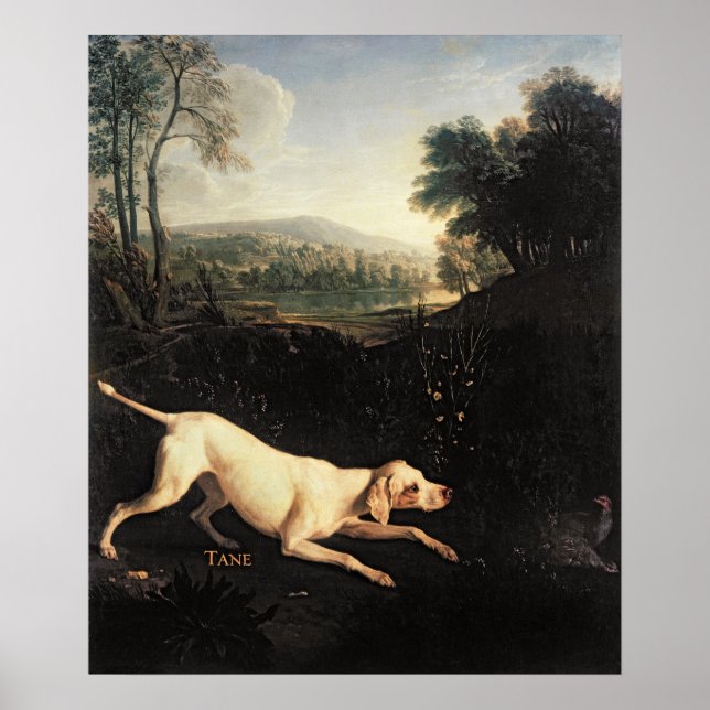 Affiches Le chien de Louis XIV, Tane (Devant)