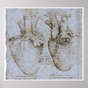 Affiches Le Coeur Humain, Léonard de Vinci