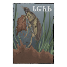 Le coléoptère trouve de la boue