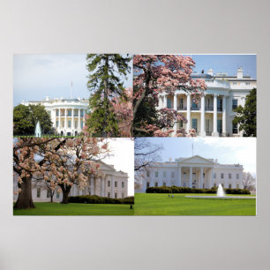 Affiches Le collage de la Maison Blanche