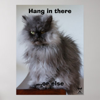 Affiches Le Colonel Meow S'Y Est Tenu