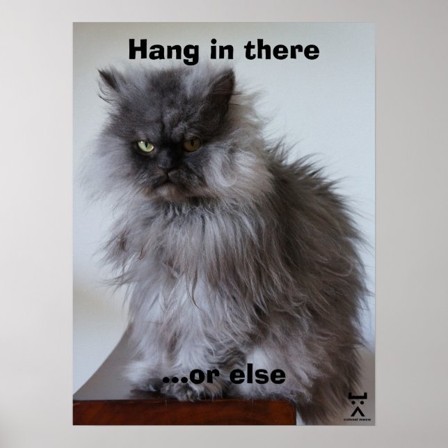 Affiches Le Colonel Meow S'Y Est Tenu (Devant)