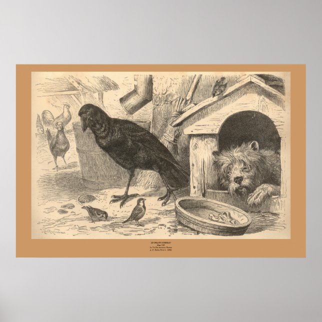 Affiches Le Corbeau commun (Devant)