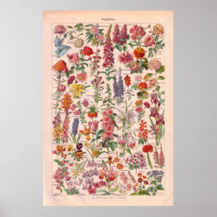 Affiches Le cru   fleurit l'affiche 1920