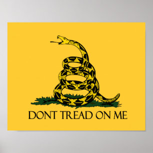 Affiches Le drapeau de Gadsden : un drapeau militaire histo