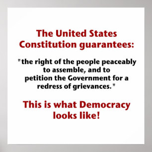 Affiches Le droit de réunion - Ce à quoi ressemble la démoc