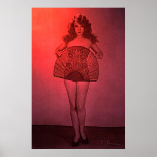 Affiches Le Fan Club