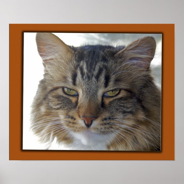 Affiches Le film de Zak (Devant)