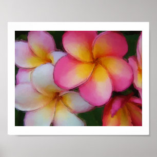 Affiches Le Frangipani de Plumeria fleurit le croquis