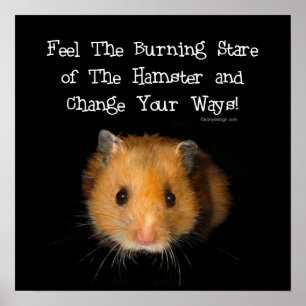Affiches Le Hamster