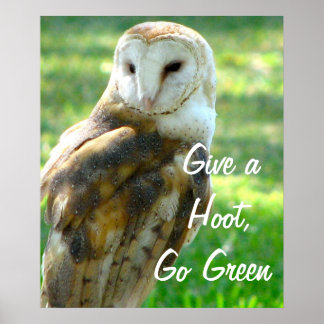 Affiches Le hibou donne un coup de pied