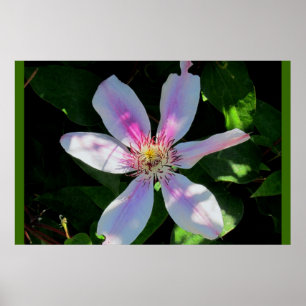 Affiches Le jardin aux fleurs de maman