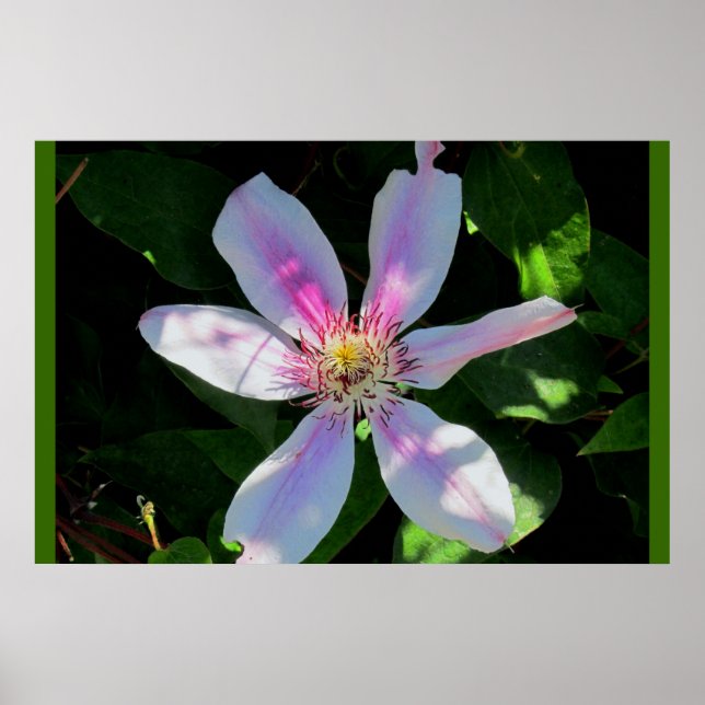 Affiches Le jardin aux fleurs de maman (Devant)