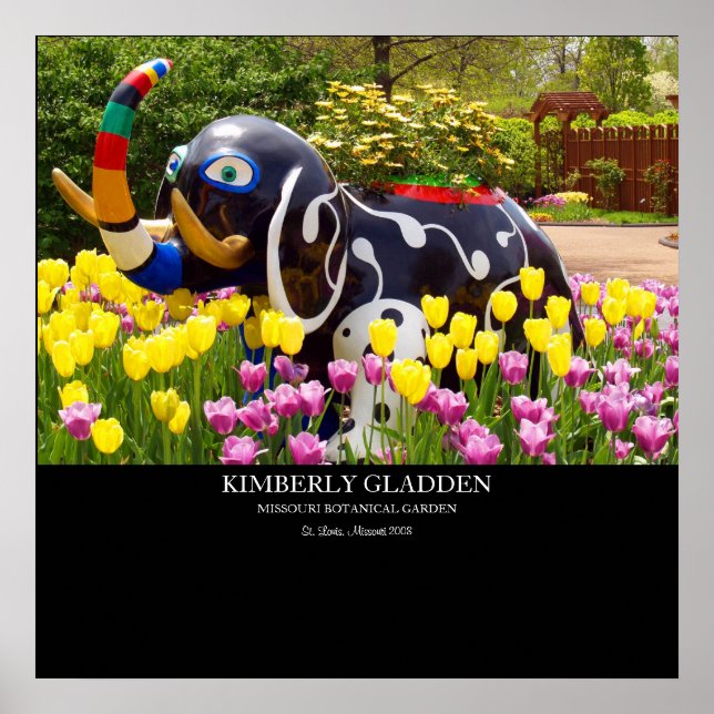 AFFICHES LE JARDIN BOTANIQUE DE MISSOURI (Devant)