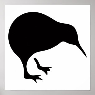 Affiches Le kiwi tous les noirs et tous les blancs Nouvelle