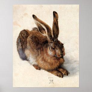 Affiches LE LAPIN ( Jeune Lièvre )