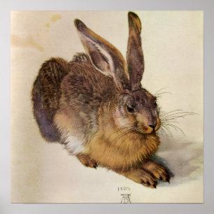 Affiches LE LAPIN ( Jeune Lièvre )