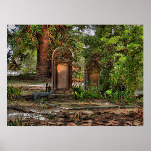 Affiches Le long sommeil