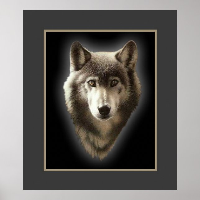 Affiches Le loup solitaire (Devant)