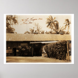 Affiches Le magasin Old Hasegawa