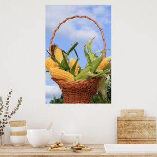 Affiches Le maïs sur l'affiche du Cob
