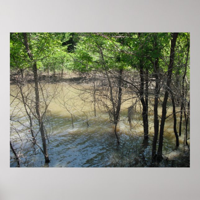 Affiches Le marais (Devant)