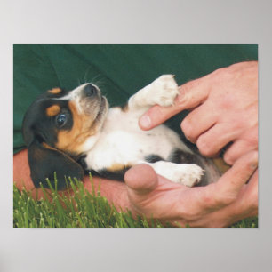 Affiches Le meilleur ami de l'homme