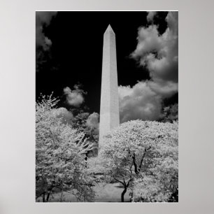 Affiches Le monument de Washington