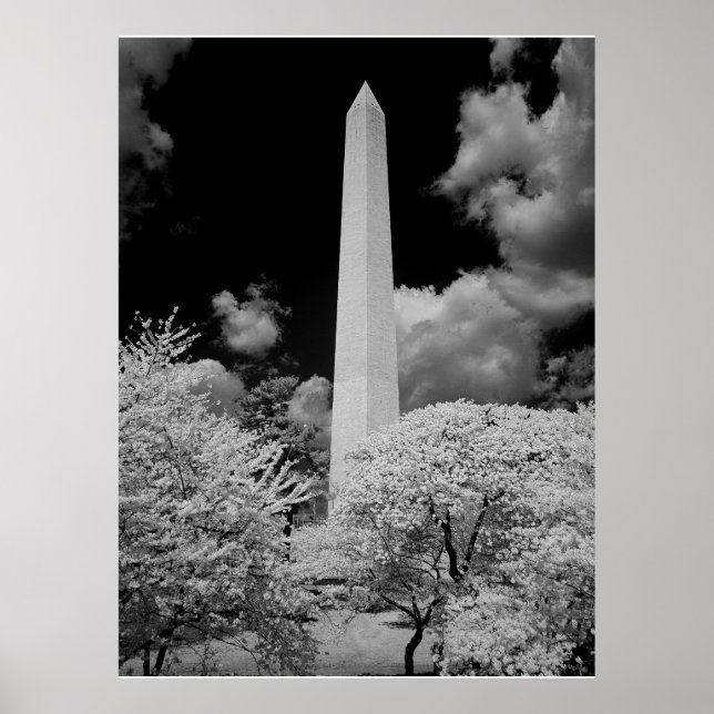 Affiches Le monument de Washington (Devant)