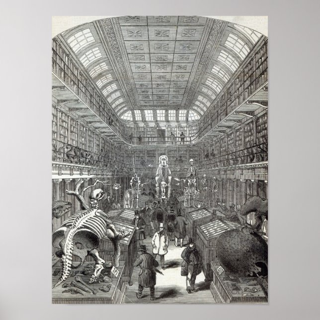 Affiches Le musée hongrois (Devant)