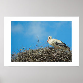 Affiches Le nid de la cigogne
