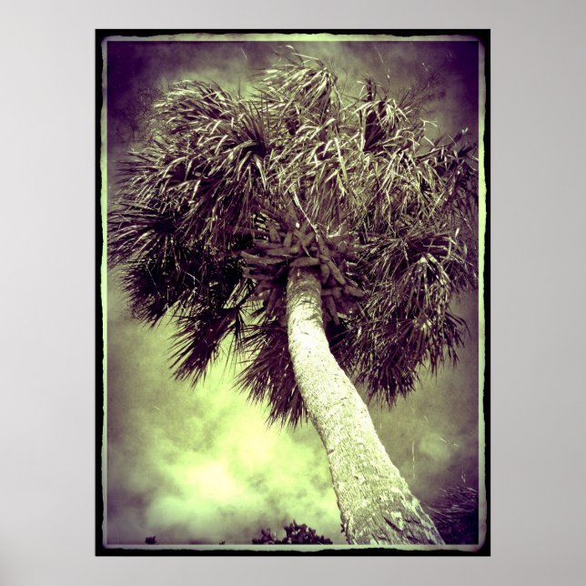 Affiches Le Palm (Devant)