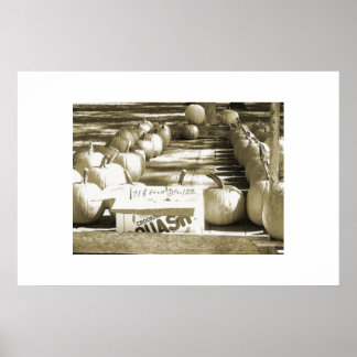 Affiches Le panier Citrouille