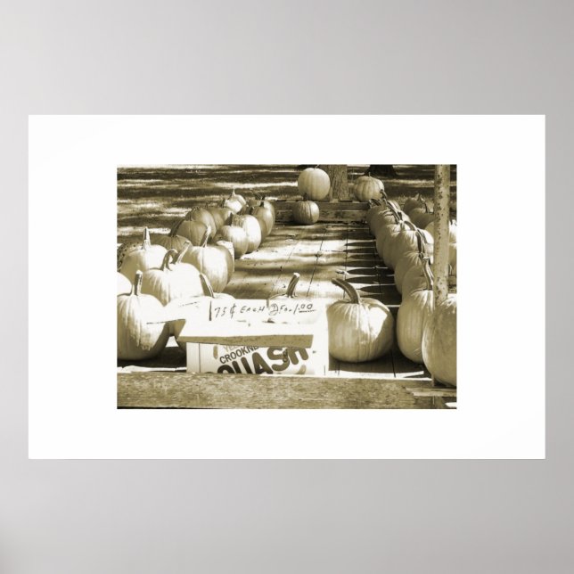 Affiches Le panier Citrouille (Devant)