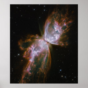 Affiches Le papillon émerge d'une disparition stellaire dan