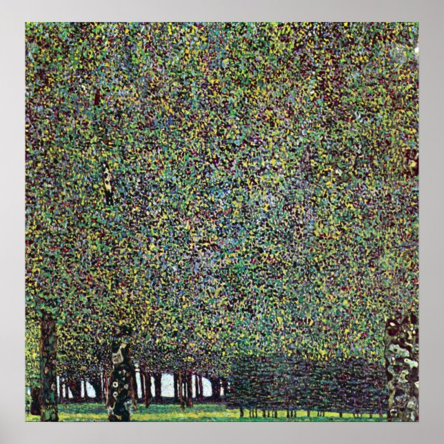 Affiches Le parc de Gustav Klimt (Devant)