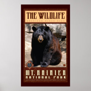 Affiches Le parc du Mont Rainier Nat'l