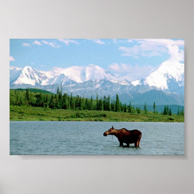 Affiches Le Parc national de Denali (Devant)