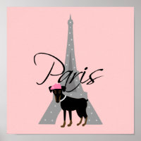 Le petit chien à Paris