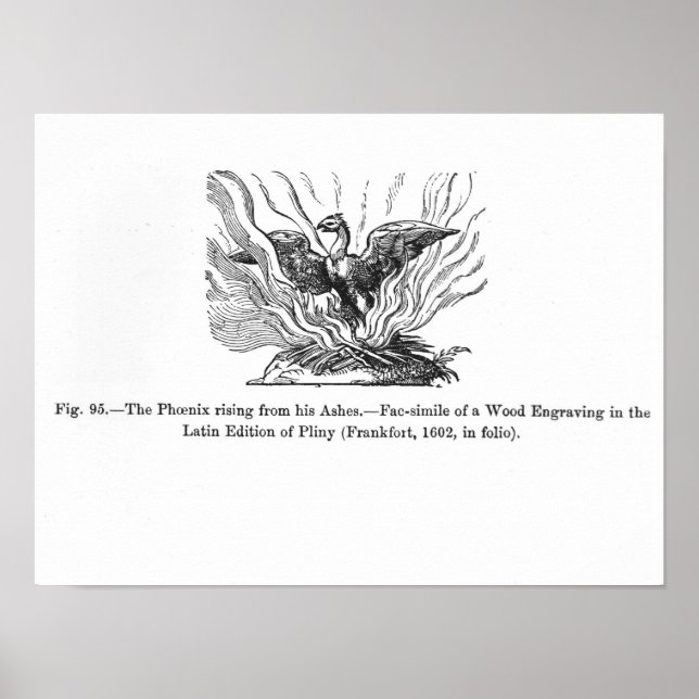 Affiches Le Phénix se levant de ses cendres (Devant)