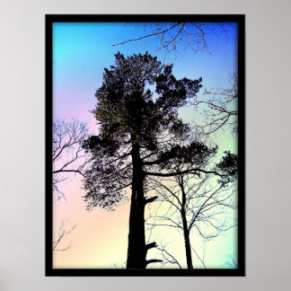 Affiches Le Plus Grand Arbre