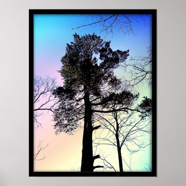 Affiches Le Plus Grand Arbre (Devant)