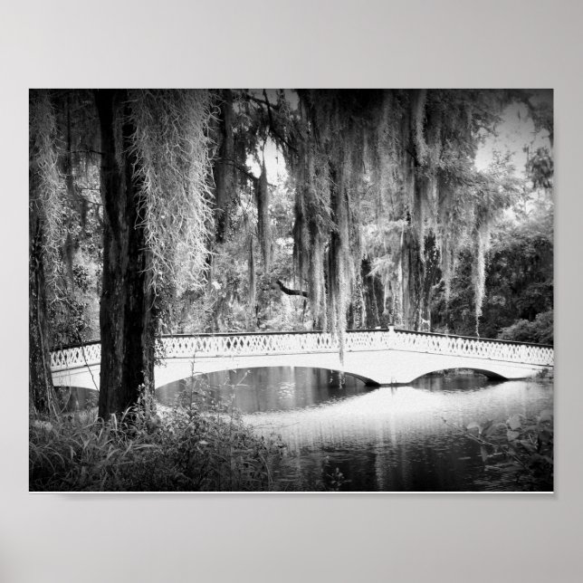Affiches Le pont de Magnolia (Devant)