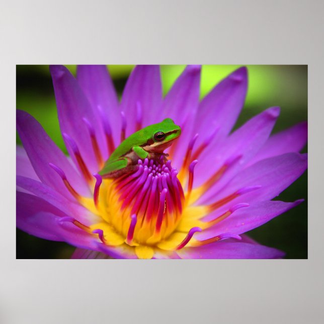 Affiches Le Poser (Devant)