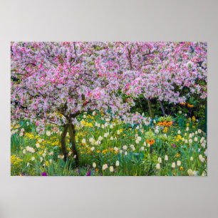 Affiches Le printemps dans le jardin de Claude Monet