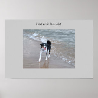 Affiches Le puissant Collie